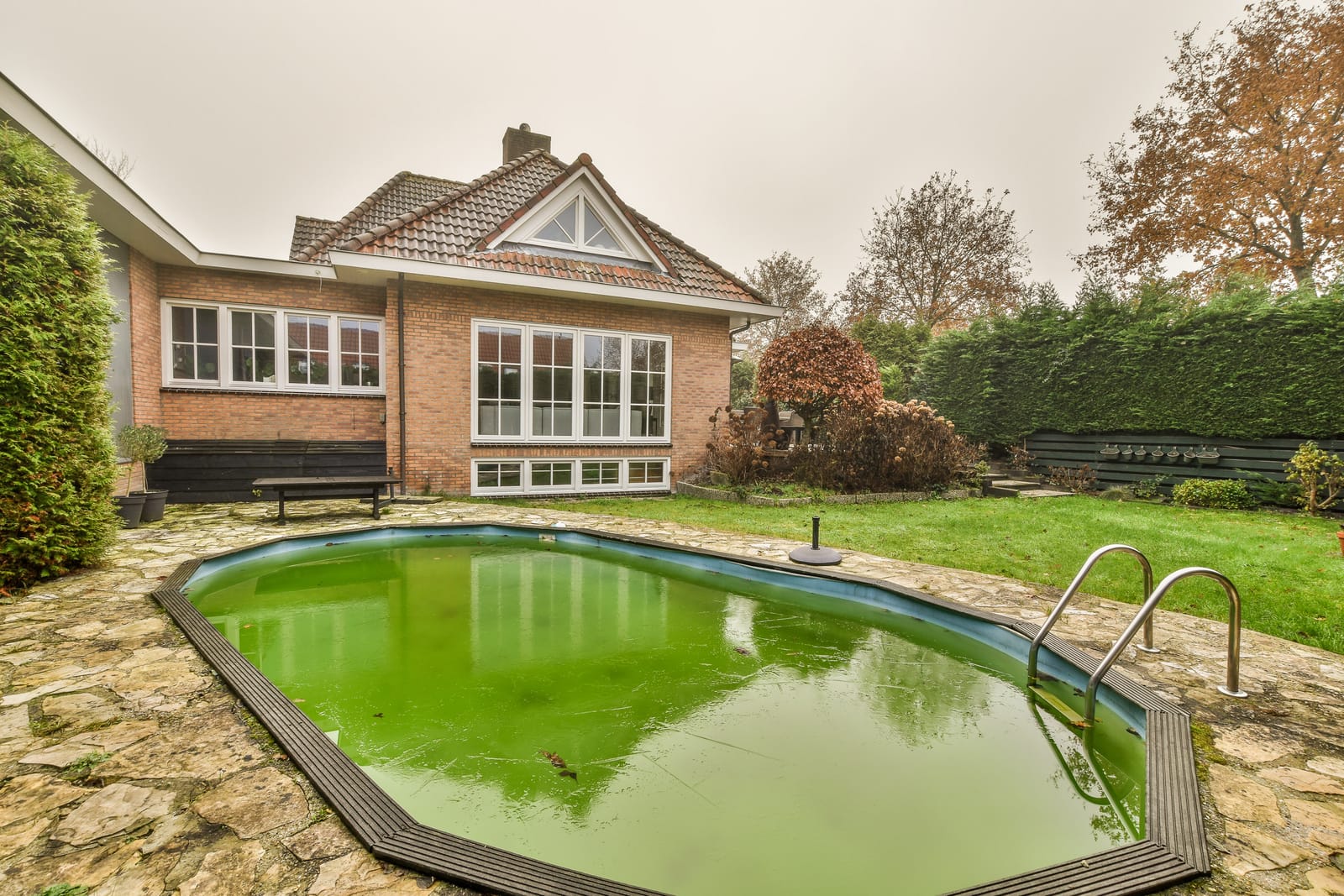 Is Pool Algae Harmful To Humans? (You'll be Surprised)